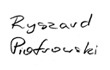 Ryszard Piotrowski - Portfolio artystyczne